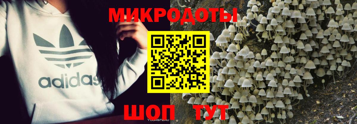 Галлюциногенные грибы ЛСД Можайск